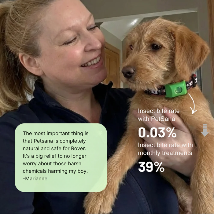 photo: owner checking relaxed dog's coat outdoors, coastal setting