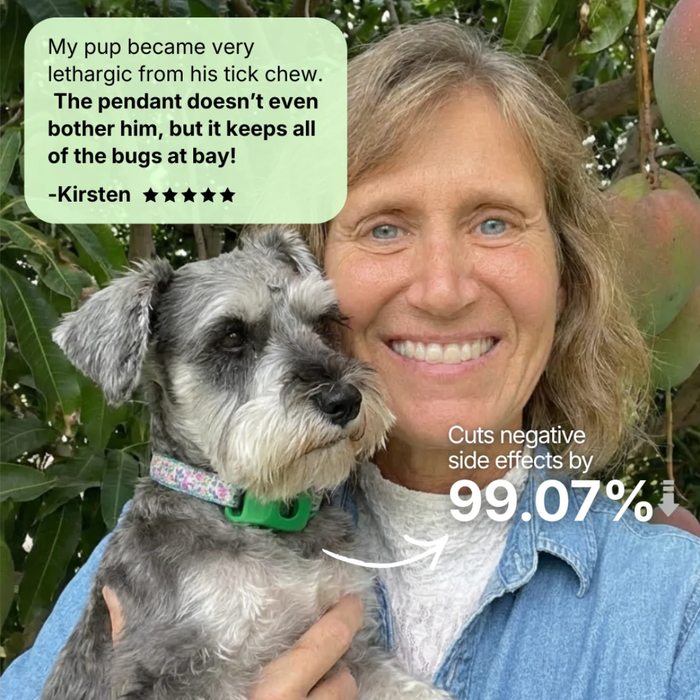 photo: owner watching dog run free in a park, pure relief on their face