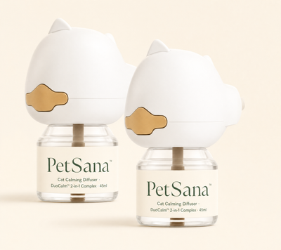 Kit difusor para gatos