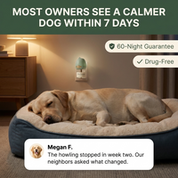 Dog Diffuser Kit