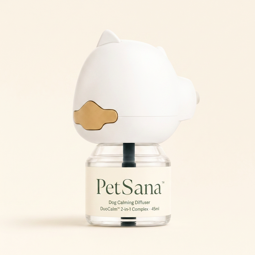 Dog Diffuser Kit