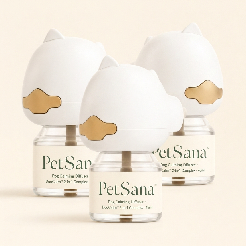 Dog Diffuser Kit