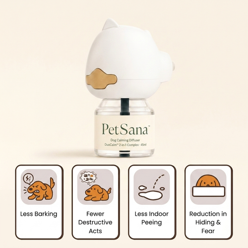 Dog Diffuser Kit