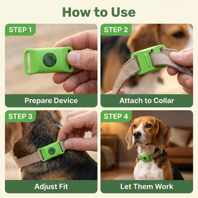 Petsana™ 12 Months Flea and Tick Free